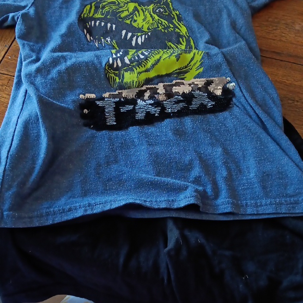 Blue Dinosaur Graphic Kids T-Shirt And Black Shorts